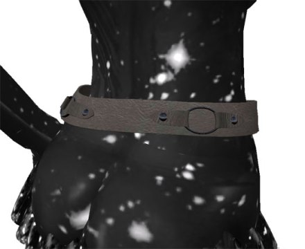 Details of Leather Belt: Back